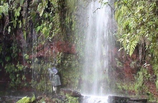 Waterfall in the levada path in Madeira found in walking holiday Madeira.