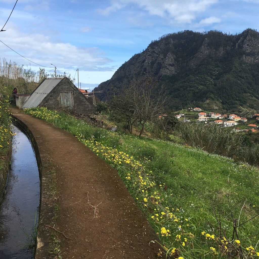 Castelejo Levada walk in Madeira bordered by flowers.